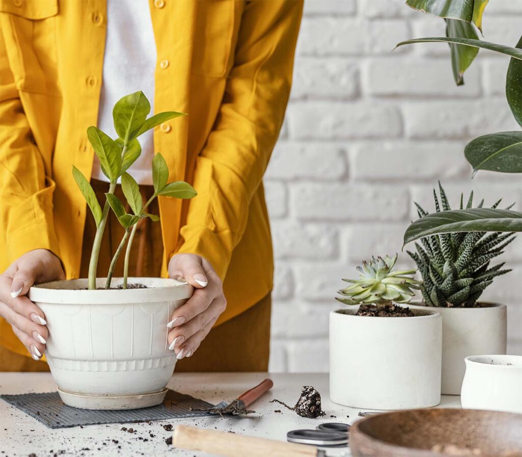 Les pots de fleurs pour déco en béton